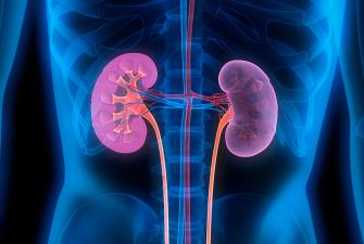 Kidney Month - Josiah Valenzuela